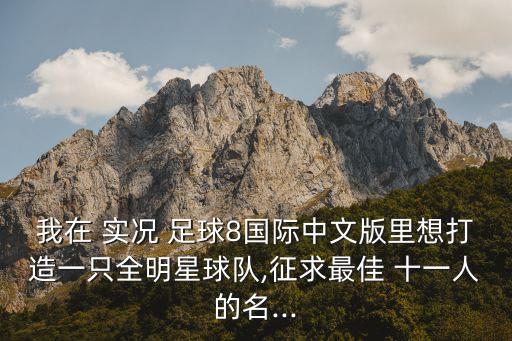 我在 實況 足球8國際中文版里想打造一只全明星球隊,征求最佳 十一人的名...