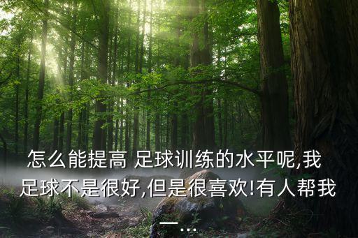 怎么能提高 足球訓(xùn)練的水平呢,我 足球不是很好,但是很喜歡!有人幫我一...