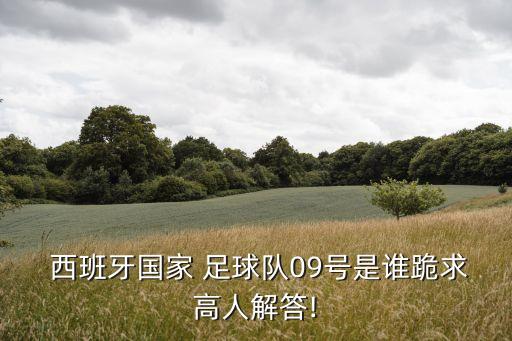  西班牙國家 足球隊09號是誰跪求高人解答!