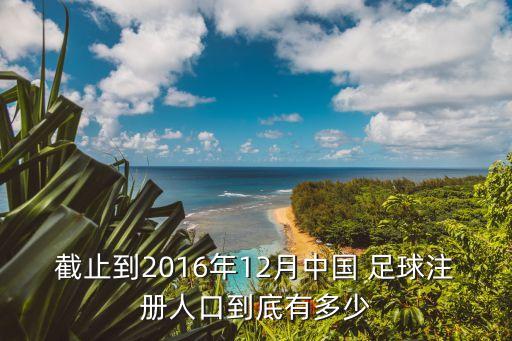 截止到2016年12月中國(guó) 足球注冊(cè)人口到底有多少