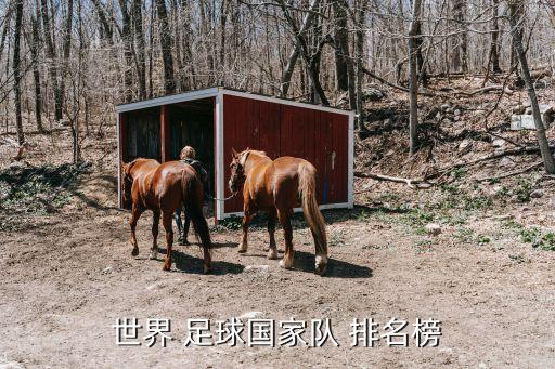 世界 足球國(guó)家隊(duì) 排名榜