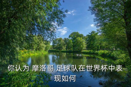 你認(rèn)為 摩洛哥 足球隊在世界杯中表現(xiàn)如何