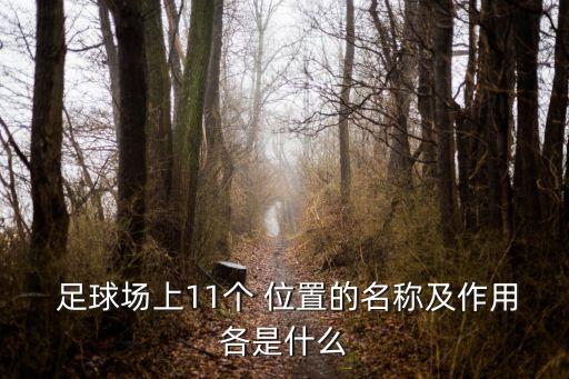  足球場上11個 位置的名稱及作用各是什么
