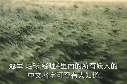 冠軍 足球 經(jīng)理4里面的所有妖人的中文名字可否有人知道