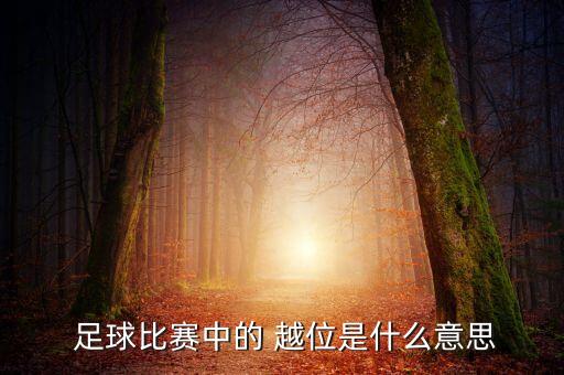 越位 足球,越位足球術(shù)語的意思