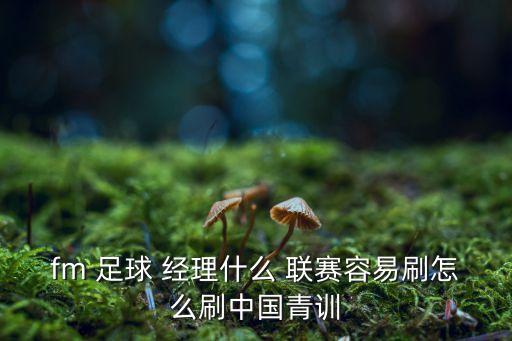 fm 足球 經(jīng)理什么 聯(lián)賽容易刷怎么刷中國(guó)青訓(xùn)