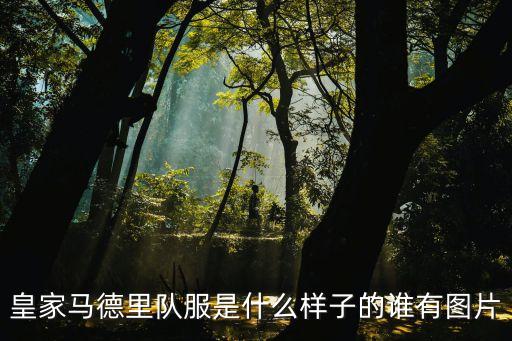 皇家馬德里隊服是什么樣子的誰有圖片