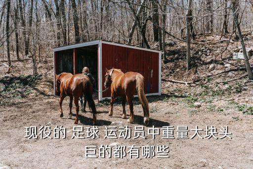  現(xiàn)役的 足球 運(yùn)動(dòng)員中重量大塊頭巨的都有哪些