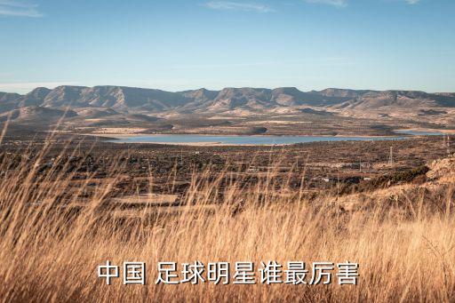 中國 足球明星誰最厲害