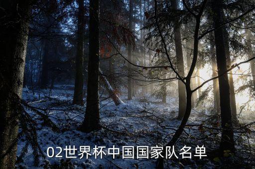 02世界杯中國國家隊(duì)名單