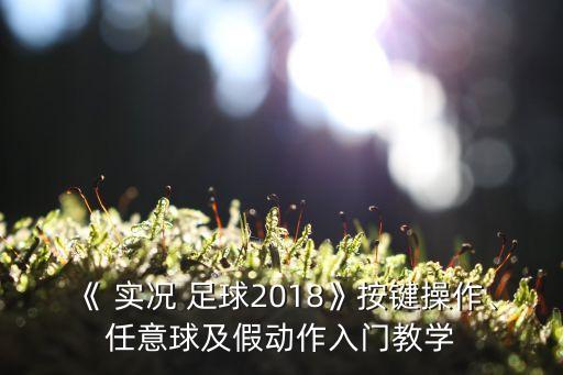 《 實(shí)況 足球2018》按鍵操作、任意球及假動(dòng)作入門教學(xué)