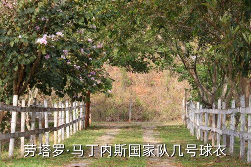 勞塔羅·馬丁內(nèi)斯國家隊幾號球衣