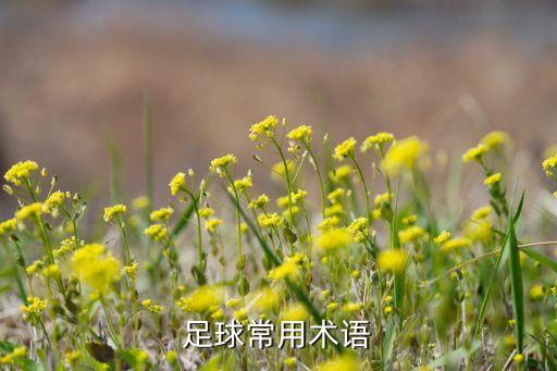 足球常用術語
