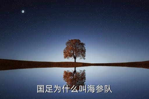 國(guó)足為什么叫海參隊(duì)