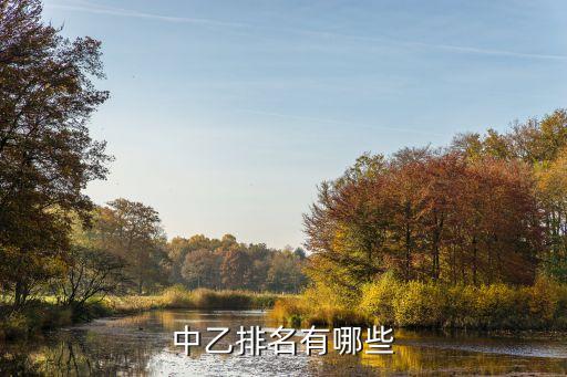 中乙排名有哪些