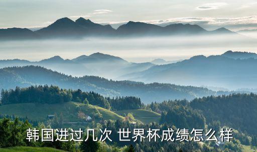  韓國進(jìn)過幾次 世界杯成績怎么樣