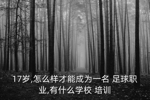 高校足球出國培訓(xùn),高校教師出國培訓(xùn)管理辦法