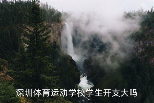 深圳體育運動學校學生開支大嗎