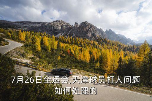 中國(guó)足球史上打架