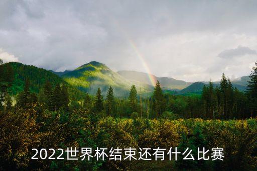 2022世界杯結(jié)束還有什么比賽