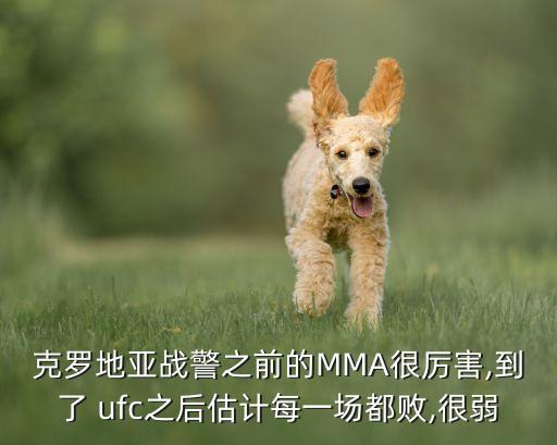 克羅地亞戰(zhàn)警之前的MMA很厲害,到了 ufc之后估計(jì)每一場都敗,很弱
