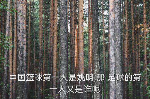 中國全明星足球有誰,全明星足球無限人物破解版