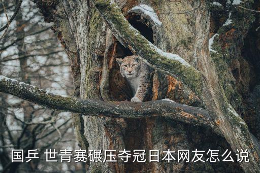 2017足球世青賽8強(qiáng)