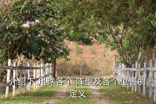 介紹下 足球各個 陣型及各個位置的定義