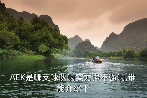 AEK是哪支球隊啊實力強不強啊,誰能介紹下