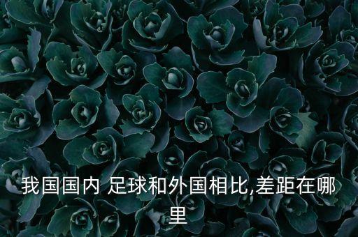 我國國內(nèi) 足球和外國相比,差距在哪里