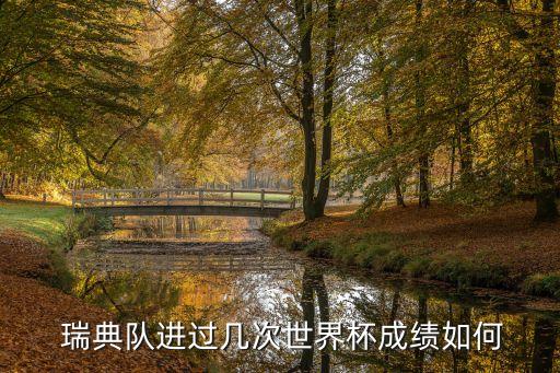 瑞典國家足球隊世預(yù)賽,瑞典男子國家足球隊