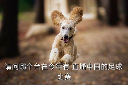 請(qǐng)問哪個(gè)臺(tái)在今年有 直播中國的足球比賽