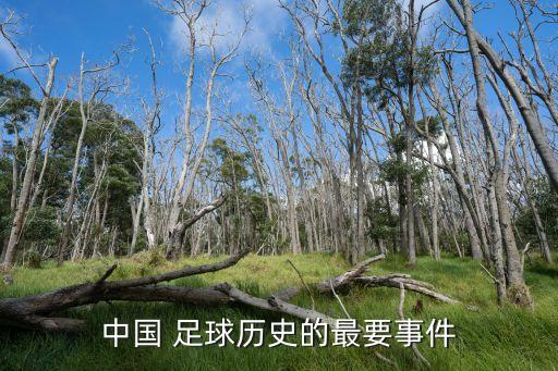 足球中國(guó)vs緬甸,緬甸足球厲害嗎