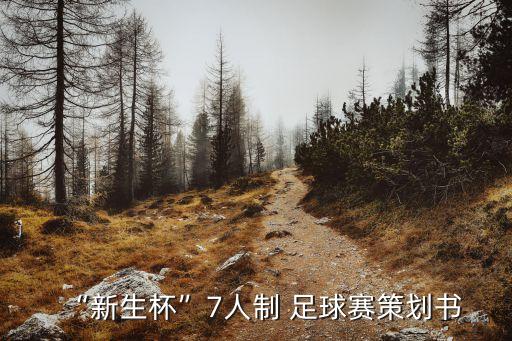 足球賽2017全過(guò)程,中國(guó)杯足球賽2017
