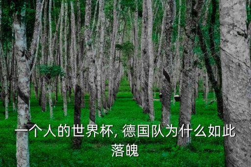 一個(gè)人的世界杯, 德國隊(duì)為什么如此落魄
