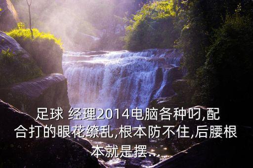 足球經(jīng)理2014各個位置,fifa足球經(jīng)理2014
