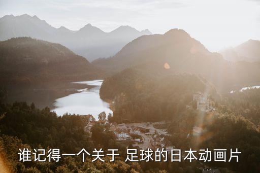 誰(shuí)記得一個(gè)關(guān)于 足球的日本動(dòng)畫片