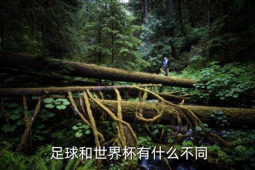 足球和