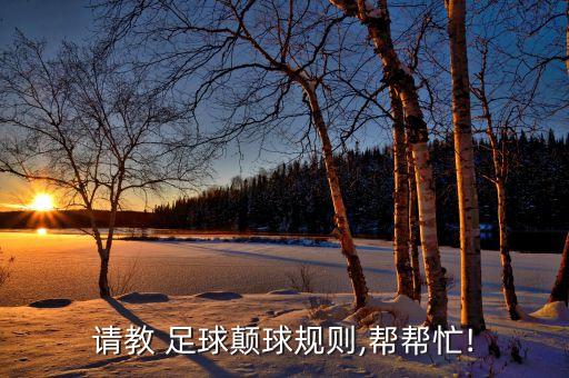足球掂球,足球球號代表什么意思