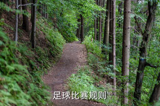 足球比賽規(guī)則