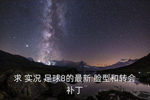 求 實(shí)況 足球8的最新 臉型和轉(zhuǎn)會補(bǔ)丁