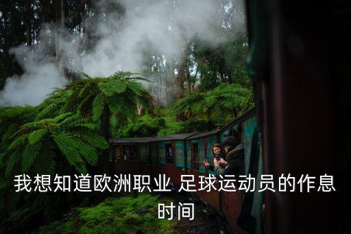 我想知道歐洲職業(yè) 足球運(yùn)動員的作息時(shí)間