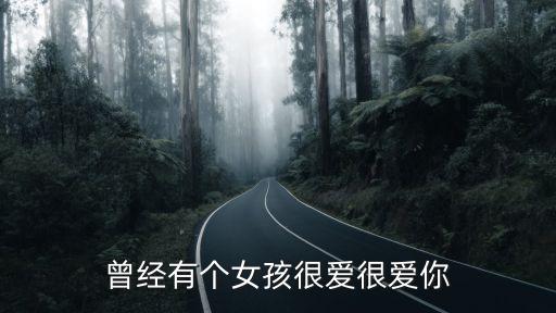 曾經(jīng)有個(gè)女孩很愛(ài)很愛(ài)你