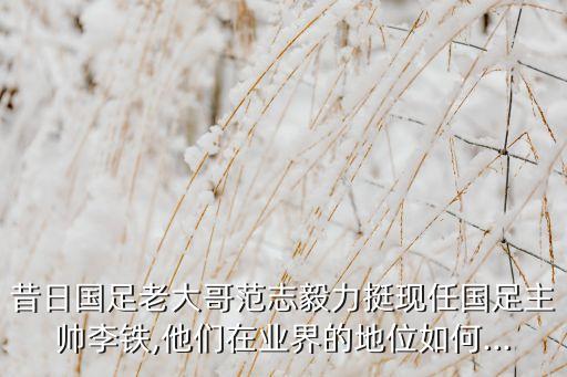 昔日國足老大哥范志毅力挺現(xiàn)任國足主帥李鐵,他們在業(yè)界的地位如何...