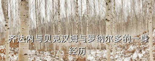  齊達內(nèi)與貝克漢姆與羅納爾多的一身經(jīng)歷