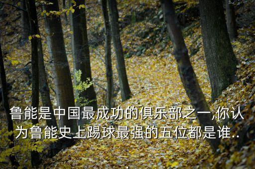 足球球員舒暢,足球舒暢個人簡歷