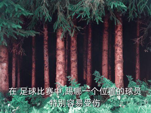 在 足球比賽中,踢哪一個位置的球員特別容易受傷