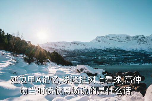 足球上樹