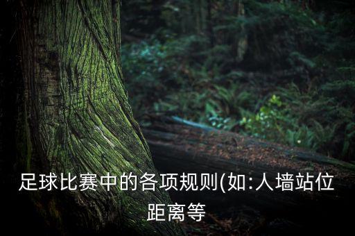 足球比賽中的各項規(guī)則(如:人墻站位距離等