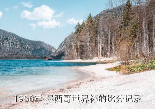1986年 墨西哥世界杯的比分記錄